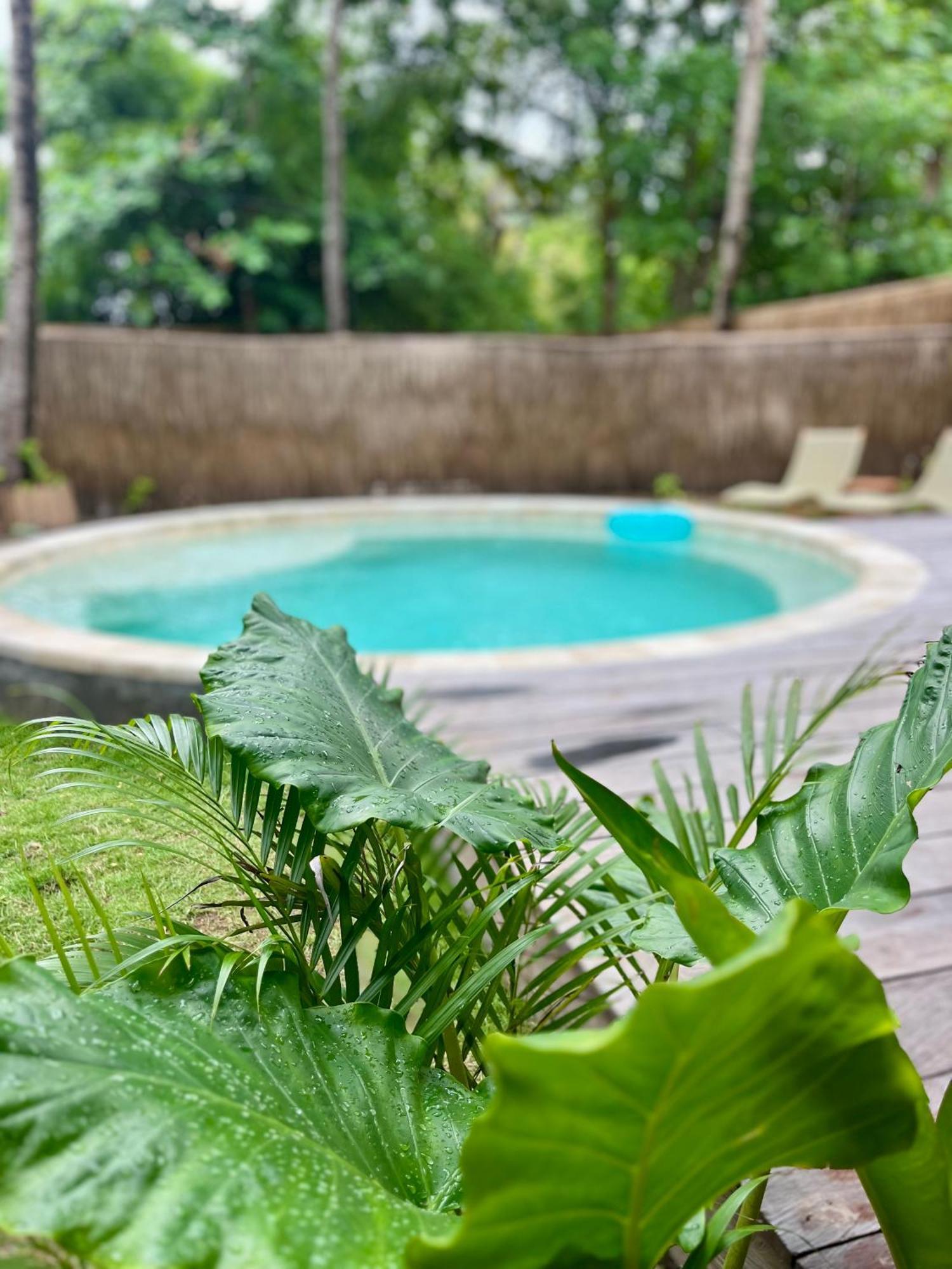 Villa Luna - Gili Air Eksteriør billede
